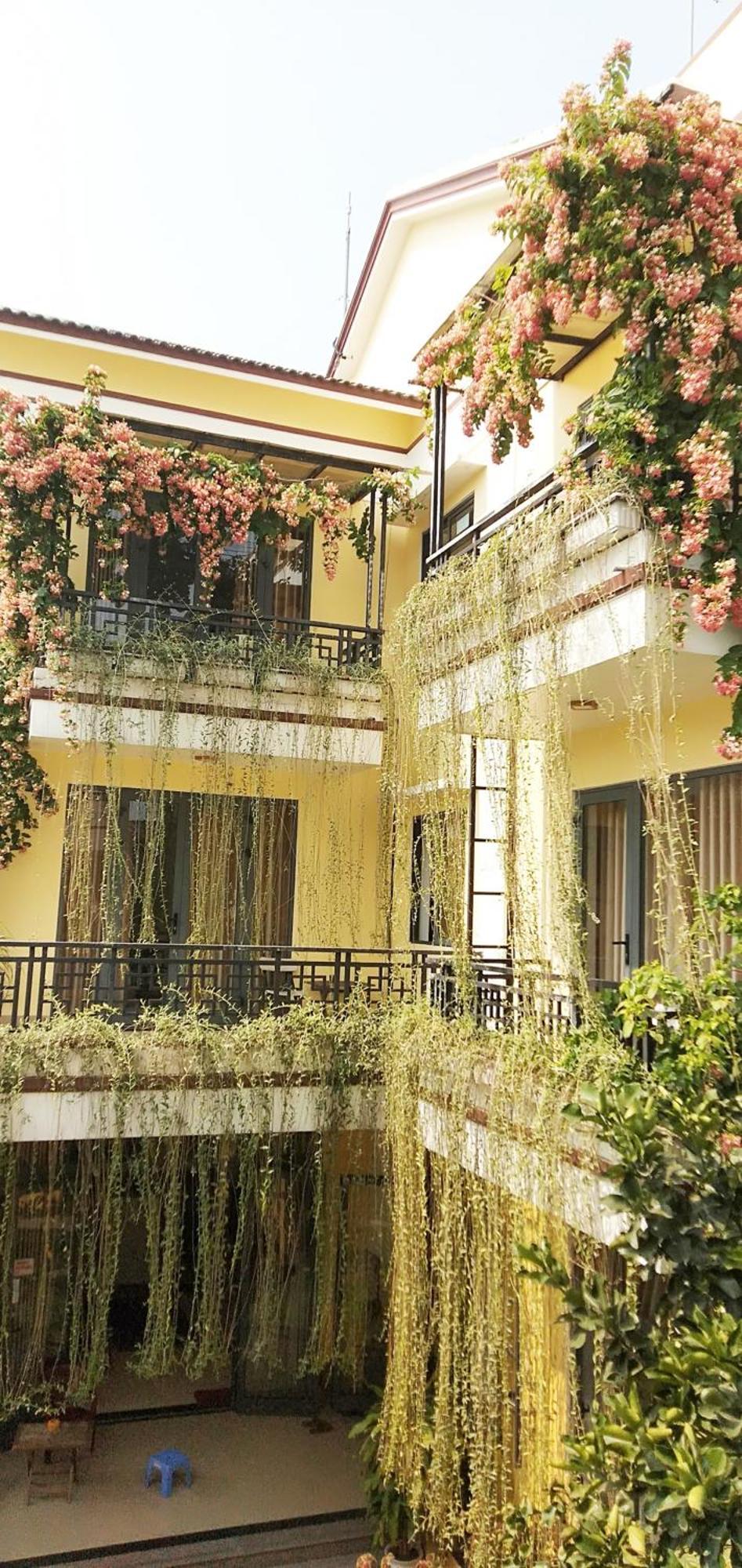 Hoi An Town Of Viet House Homestay Zewnętrze zdjęcie